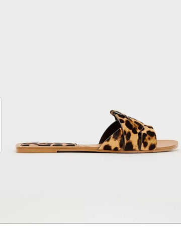 Leopard Basic Slide